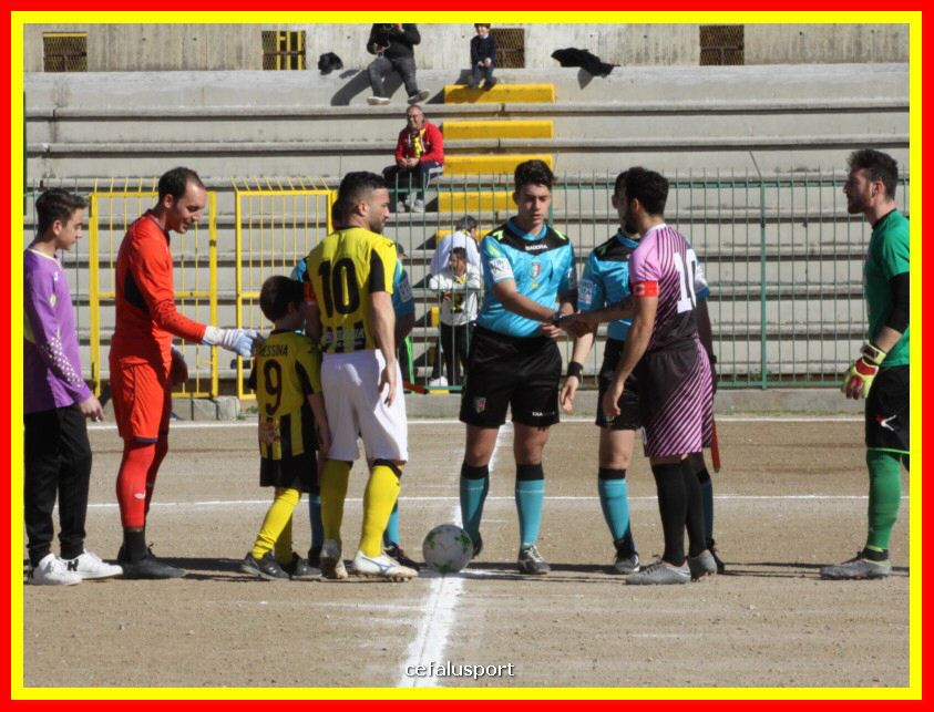 190310 Cephal_Torrenov 031_tn.jpg
